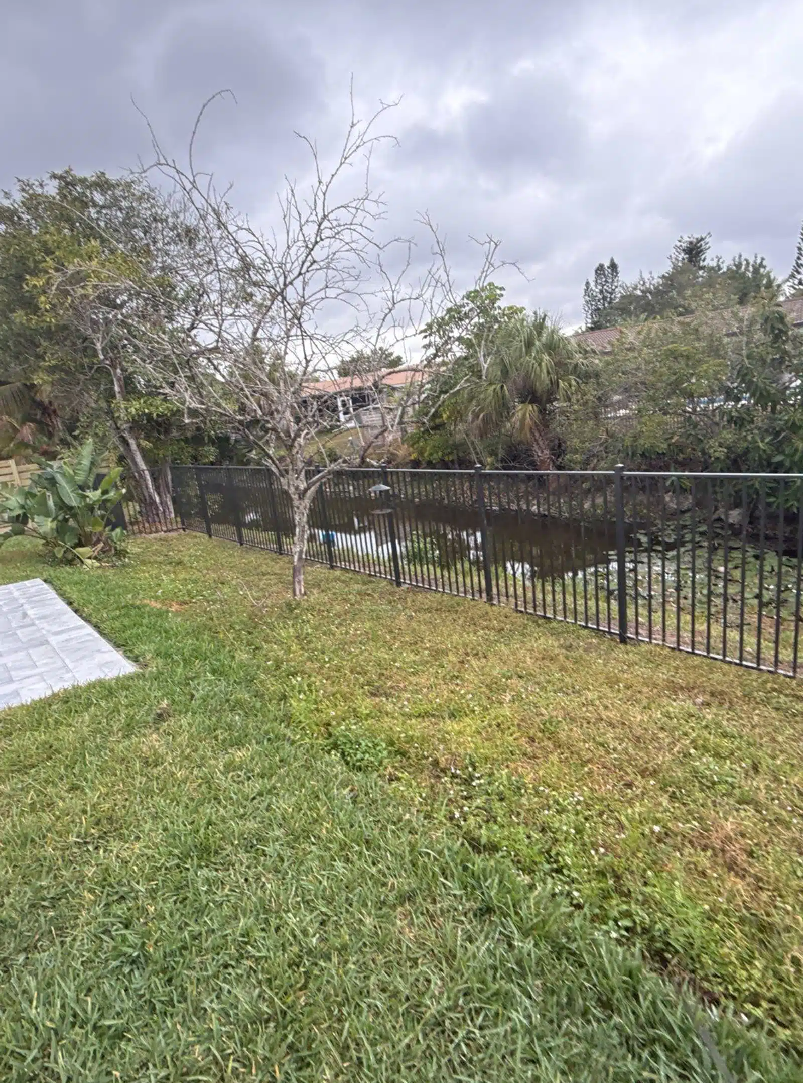 Wood Fence and Aluminum
