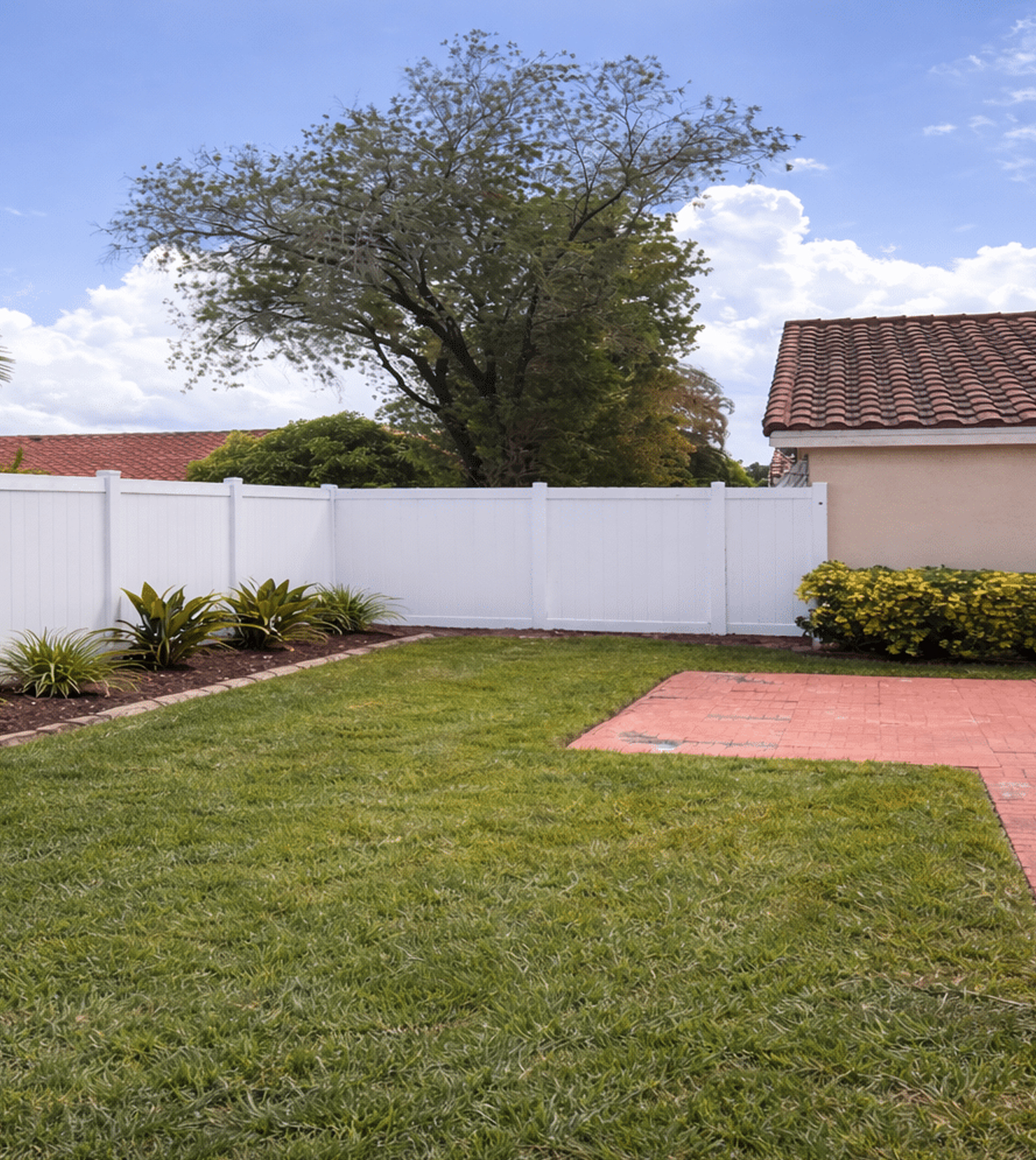 Backyard Fence