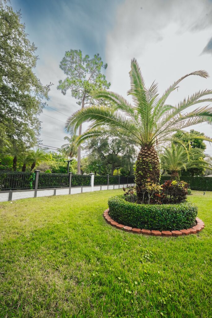 Black aluminum picket fence around a landscaped lawn with a palm tree